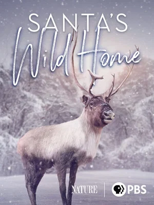 Постер: Santa's Wild Home