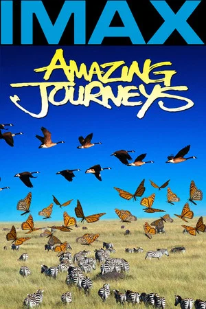 Постер: Amazing Journeys