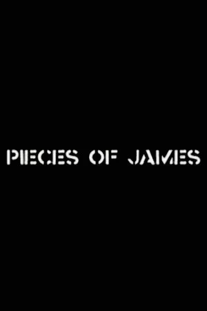 Постер: Pieces of James: An Enquiry Into the Art and Life of James Manning