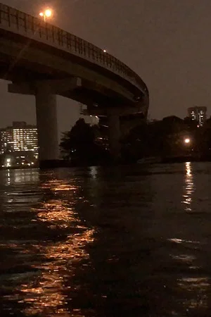 Постер: Night Cruise