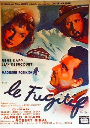 Постер: The Fugitive