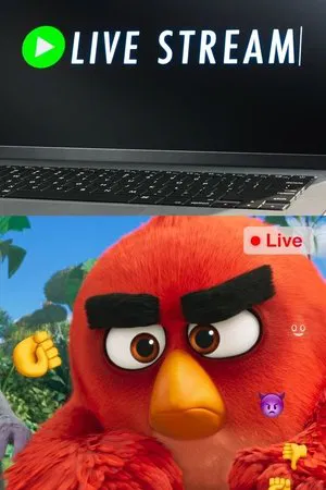 Постер: Angry Birds: Live Stream