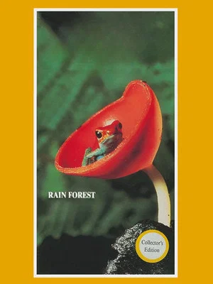 Постер: Rain Forest