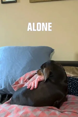Постер: Alone