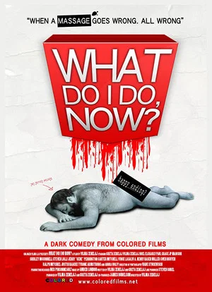 Постер: What Do I Do Now?