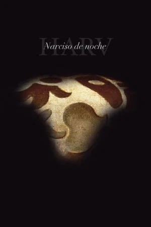 Постер: Narcissus by Night