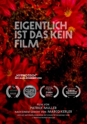 Постер: Actually, This Is Not a Film