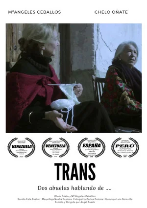 Постер: Trans