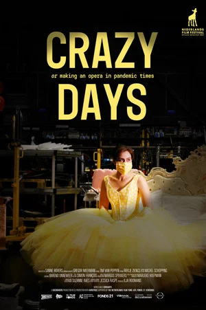 Постер: Crazy Days