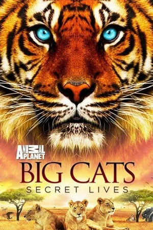 Постер: Big Cats: Secret Lives