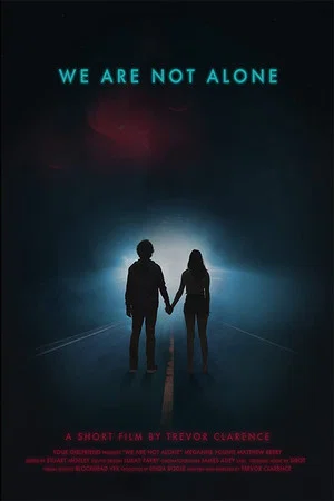 Постер: We Are Not Alone