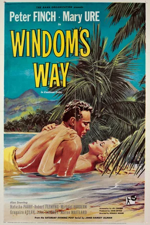 Постер: Windom's Way