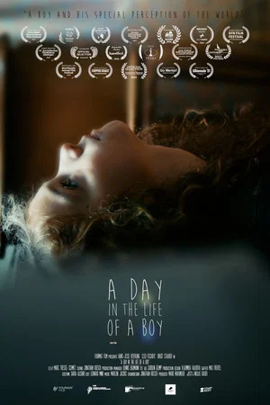Постер: A Day in the Life of a Boy