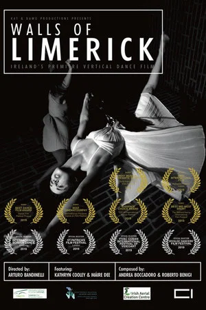 Постер: Walls of Limerick