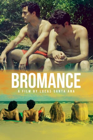 Постер: Bromance