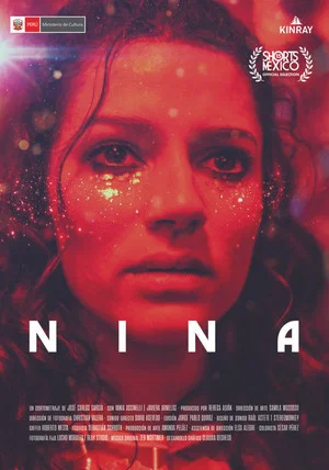 Постер: Nina