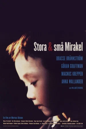 Постер: Stora & små mirakel