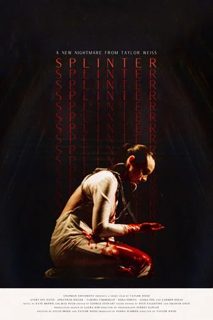 Постер: Splinter