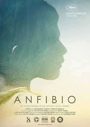 Постер: Anfibio