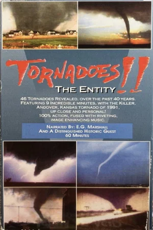 Постер: Tornadoes!! The Entity