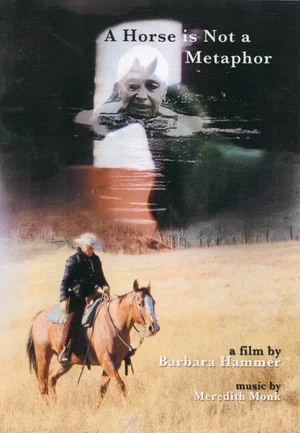Постер: A Horse Is Not a Metaphor