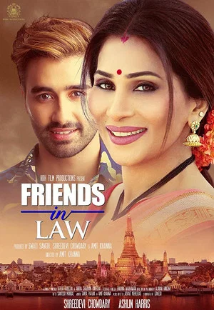 Постер: Friends in Law