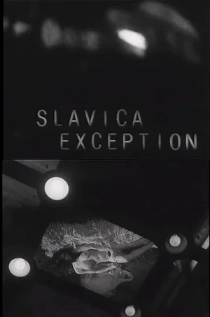 Постер: Slavica Exception