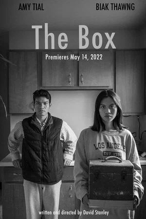 Постер: The Box