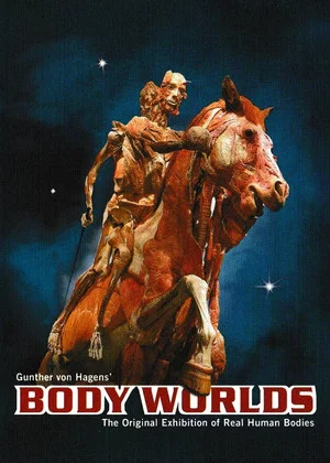 Постер: Body Worlds