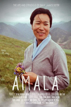 Постер: Amala