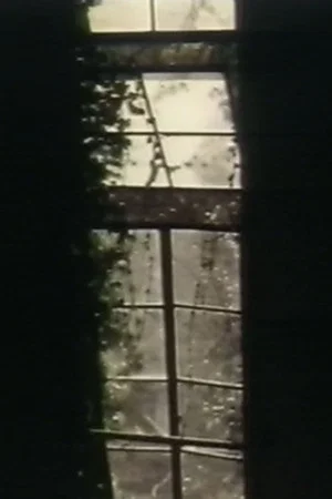 Постер: See Through The Shadow Of Darkness