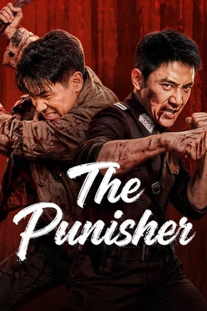 Постер: The Punisher