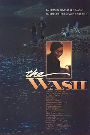 Постер: The Wash