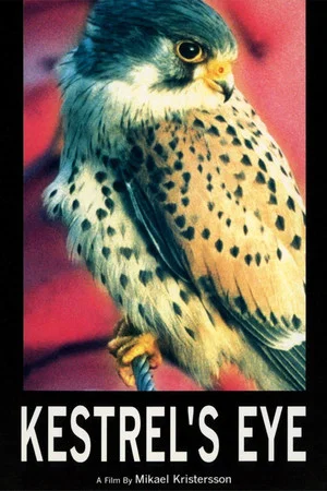 Постер: Kestrel's Eye