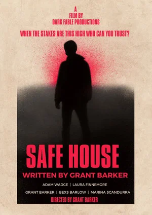 Постер: Safe House