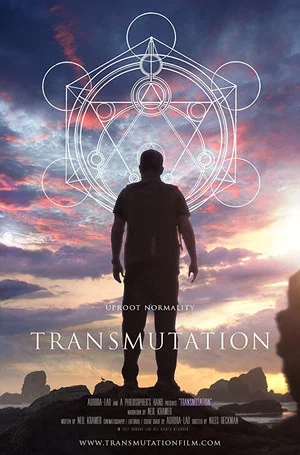 Постер: Transmutation