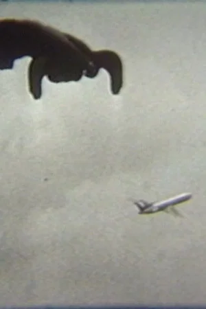 Постер: Flying