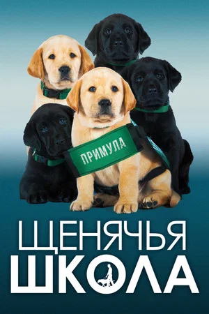 Постер: Щенячья школа