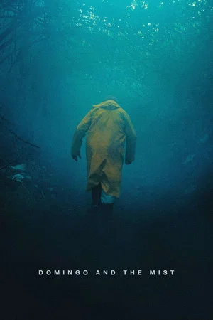 Постер: Domingo and the Mist
