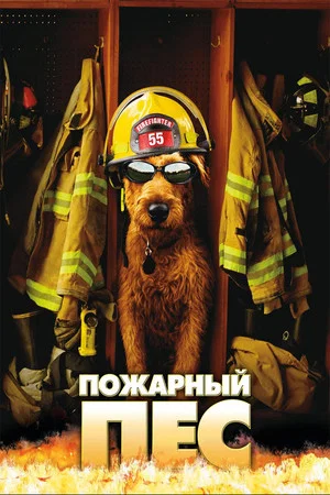 Постер: Пожарный пёс