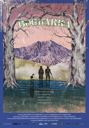 Постер: Boglárka