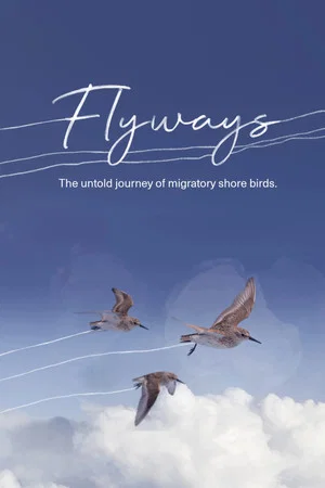 Постер: Flyways: The Untold Journey of Migratory Shorebirds