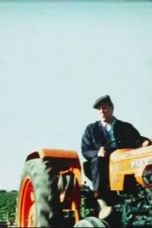 Постер: Summer in the Fields