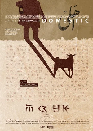 Постер: Domestic