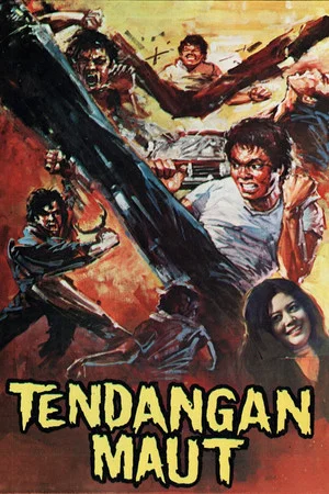 Постер: Deadly Kick