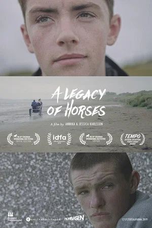 Постер: A Legacy of Horses