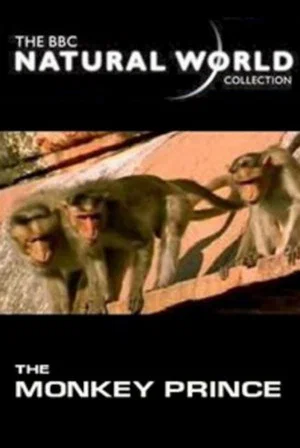 Постер: The Monkey Prince