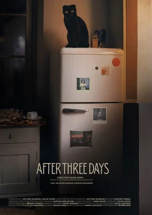 Постер: After Three Days