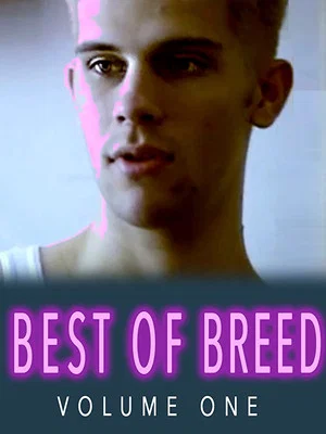 Постер: Best of Breed Volume 1