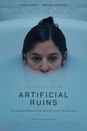 Постер: Artificial Ruins